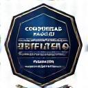 GTECHNIQ Certified Badge